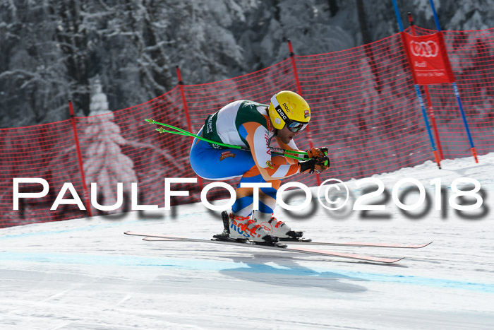 FIS, Int. Dt. Meisterschaft Abfahrt, Training, NC, NJC Damen + Herren, 22.03.2018