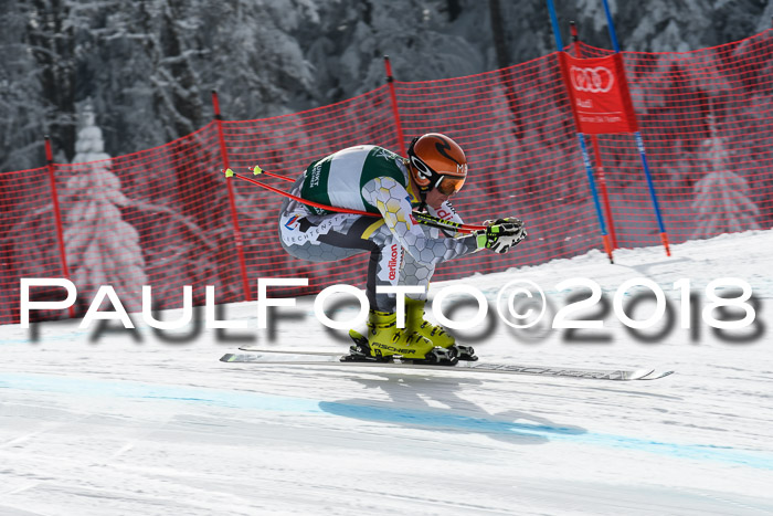 FIS, Int. Dt. Meisterschaft Abfahrt, Training, NC, NJC Damen + Herren, 22.03.2018