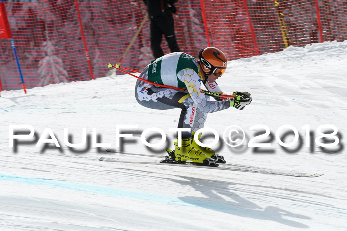 FIS, Int. Dt. Meisterschaft Abfahrt, Training, NC, NJC Damen + Herren, 22.03.2018