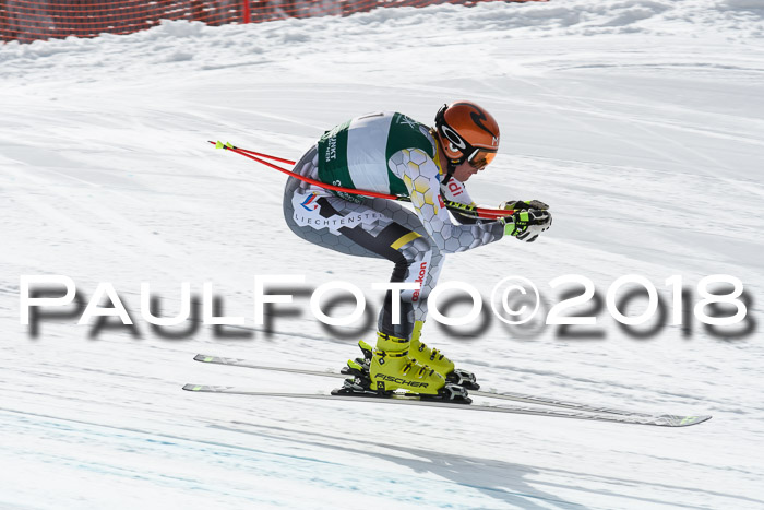 FIS, Int. Dt. Meisterschaft Abfahrt, Training, NC, NJC Damen + Herren, 22.03.2018