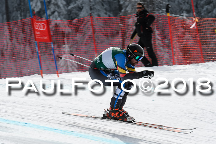 FIS, Int. Dt. Meisterschaft Abfahrt, Training, NC, NJC Damen + Herren, 22.03.2018