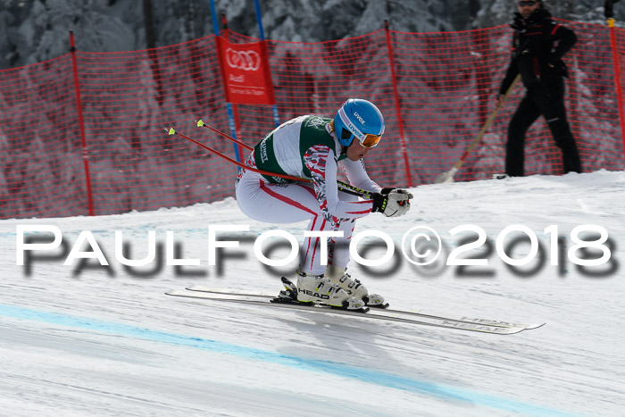 FIS, Int. Dt. Meisterschaft Abfahrt, Training, NC, NJC Damen + Herren, 22.03.2018
