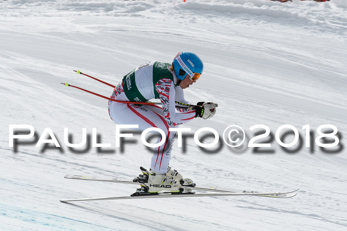 FIS, Int. Dt. Meisterschaft Abfahrt, Training, NC, NJC Damen + Herren, 22.03.2018