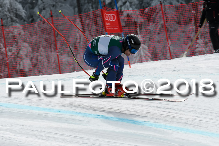 FIS, Int. Dt. Meisterschaft Abfahrt, Training, NC, NJC Damen + Herren, 22.03.2018