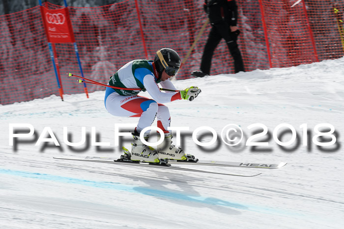 FIS, Int. Dt. Meisterschaft Abfahrt, Training, NC, NJC Damen + Herren, 22.03.2018