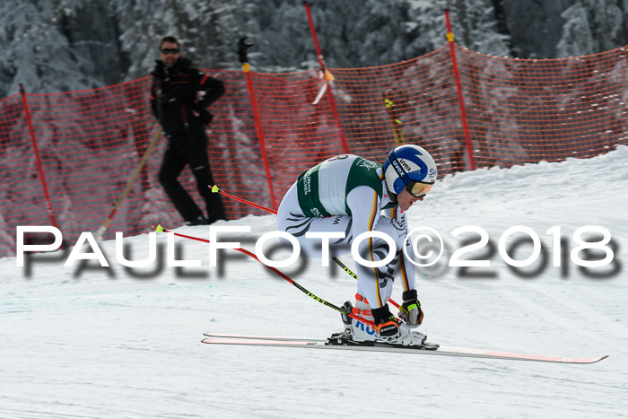 FIS, Int. Dt. Meisterschaft Abfahrt, Training, NC, NJC Damen + Herren, 22.03.2018