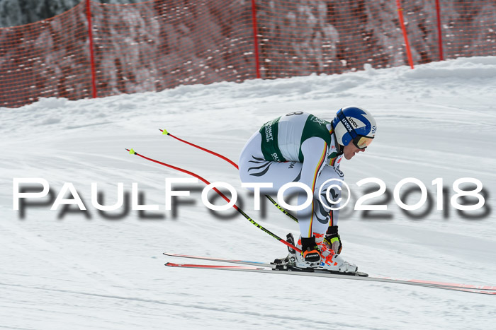 FIS, Int. Dt. Meisterschaft Abfahrt, Training, NC, NJC Damen + Herren, 22.03.2018