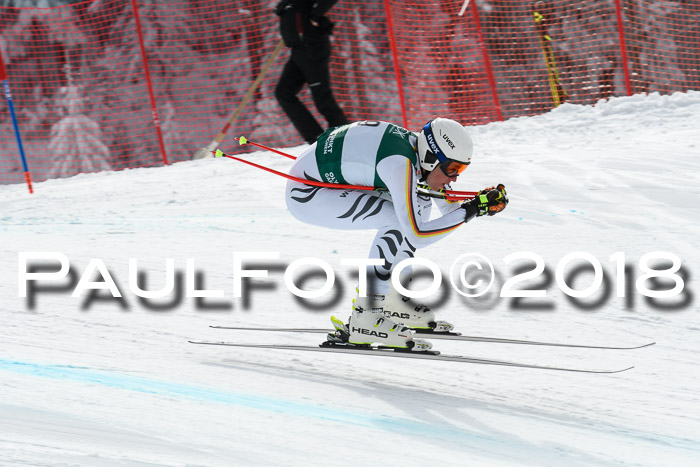 FIS, Int. Dt. Meisterschaft Abfahrt, Training, NC, NJC Damen + Herren, 22.03.2018