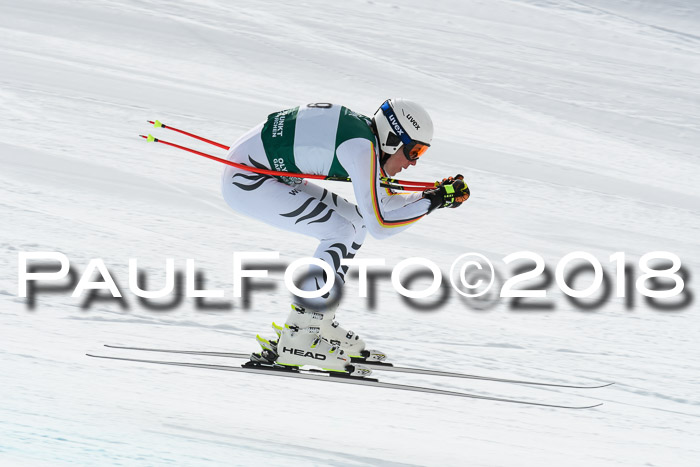 FIS, Int. Dt. Meisterschaft Abfahrt, Training, NC, NJC Damen + Herren, 22.03.2018