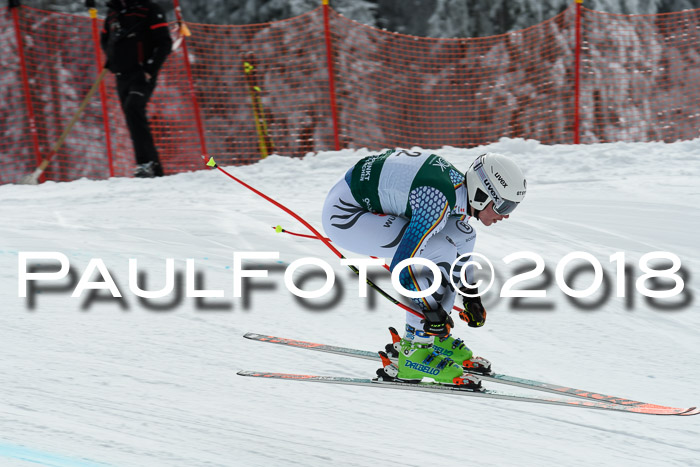 FIS, Int. Dt. Meisterschaft Abfahrt, Training, NC, NJC Damen + Herren, 22.03.2018