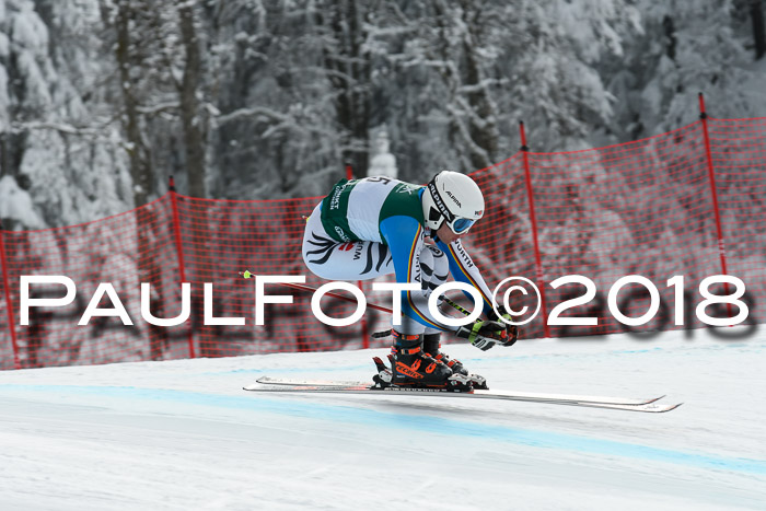 FIS, Int. Dt. Meisterschaft Abfahrt, Training, NC, NJC Damen + Herren, 22.03.2018