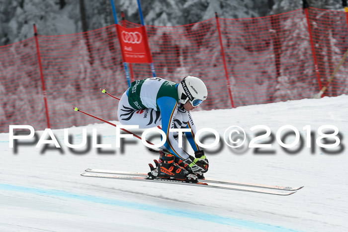 FIS, Int. Dt. Meisterschaft Abfahrt, Training, NC, NJC Damen + Herren, 22.03.2018