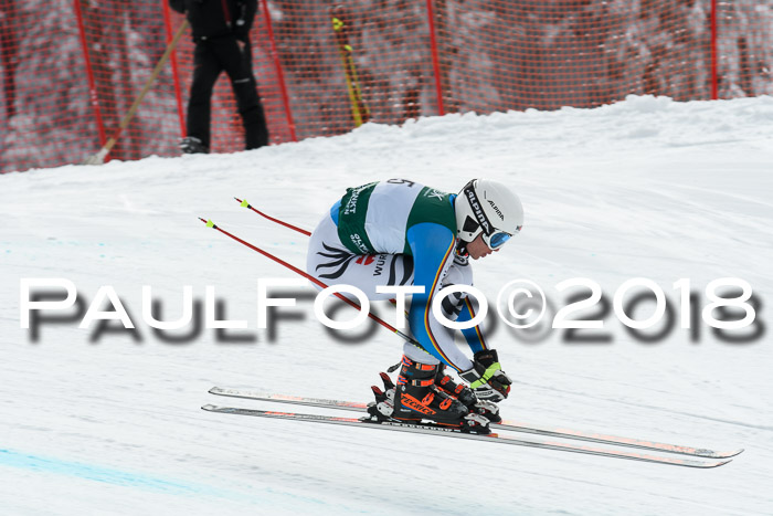 FIS, Int. Dt. Meisterschaft Abfahrt, Training, NC, NJC Damen + Herren, 22.03.2018