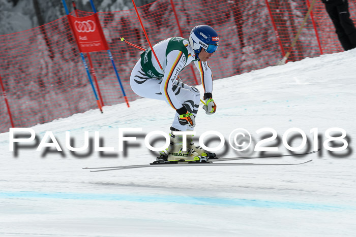 FIS, Int. Dt. Meisterschaft Abfahrt, Training, NC, NJC Damen + Herren, 22.03.2018