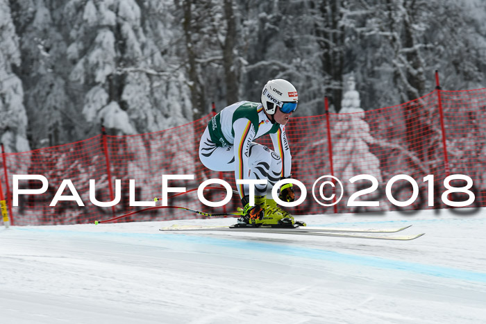 FIS, Int. Dt. Meisterschaft Abfahrt, Training, NC, NJC Damen + Herren, 22.03.2018