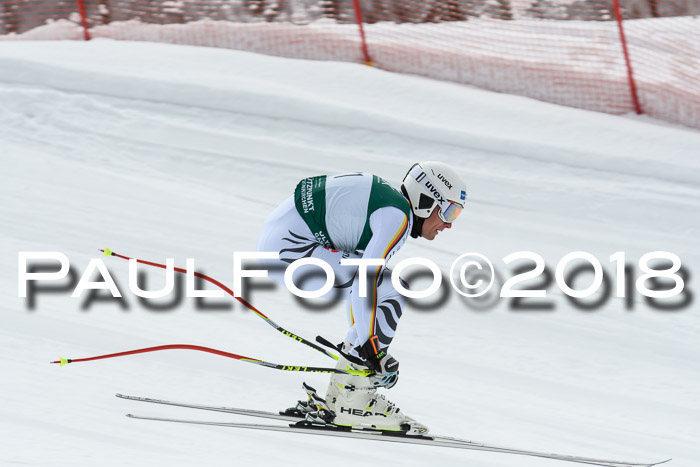 FIS, Int. Dt. Meisterschaft Abfahrt, Training, NC, NJC Damen + Herren, 22.03.2018