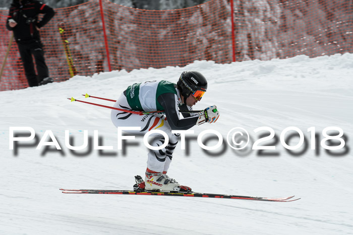 FIS, Int. Dt. Meisterschaft Abfahrt, Training, NC, NJC Damen + Herren, 22.03.2018