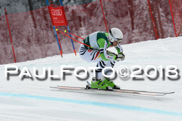 FIS, Int. Dt. Meisterschaft Abfahrt, Training, NC, NJC Damen + Herren, 22.03.2018