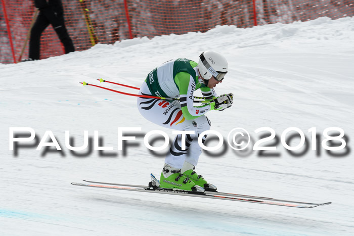 FIS, Int. Dt. Meisterschaft Abfahrt, Training, NC, NJC Damen + Herren, 22.03.2018