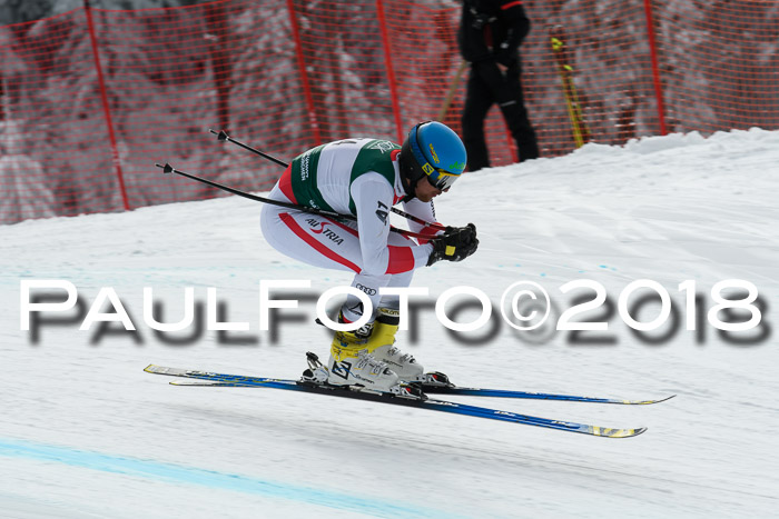 FIS, Int. Dt. Meisterschaft Abfahrt, Training, NC, NJC Damen + Herren, 22.03.2018