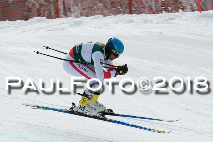 FIS, Int. Dt. Meisterschaft Abfahrt, Training, NC, NJC Damen + Herren, 22.03.2018