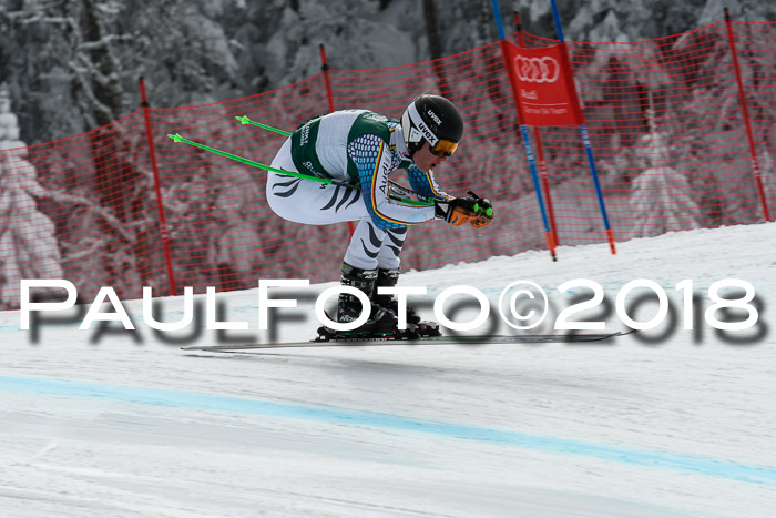 FIS, Int. Dt. Meisterschaft Abfahrt, Training, NC, NJC Damen + Herren, 22.03.2018