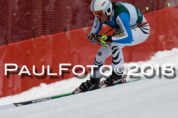 FIS, Int. Dt. Meisterschaft Abfahrt, Training, NC, NJC Damen + Herren, 22.03.2018
