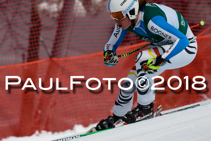 FIS, Int. Dt. Meisterschaft Abfahrt, Training, NC, NJC Damen + Herren, 22.03.2018