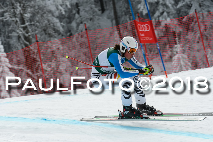 FIS, Int. Dt. Meisterschaft Abfahrt, Training, NC, NJC Damen + Herren, 22.03.2018