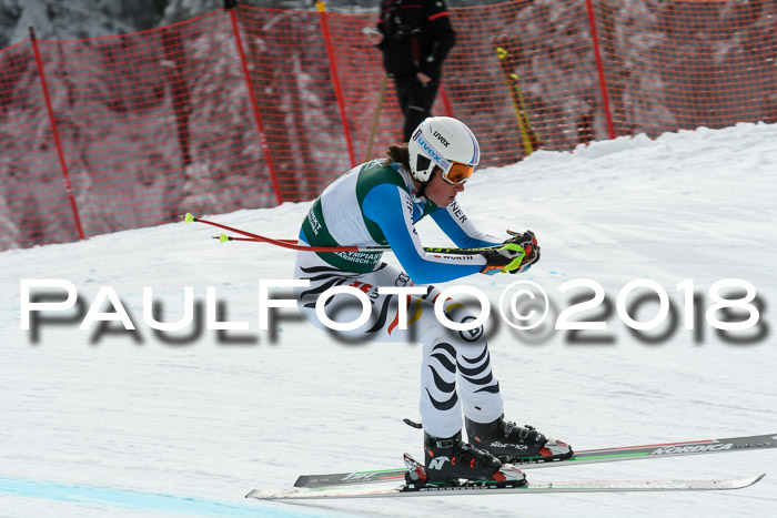 FIS, Int. Dt. Meisterschaft Abfahrt, Training, NC, NJC Damen + Herren, 22.03.2018