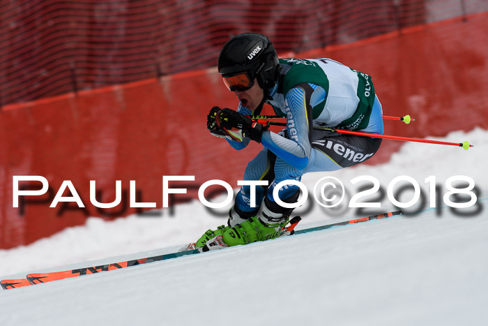 FIS, Int. Dt. Meisterschaft Abfahrt, Training, NC, NJC Damen + Herren, 22.03.2018