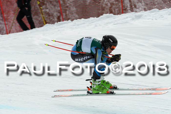 FIS, Int. Dt. Meisterschaft Abfahrt, Training, NC, NJC Damen + Herren, 22.03.2018