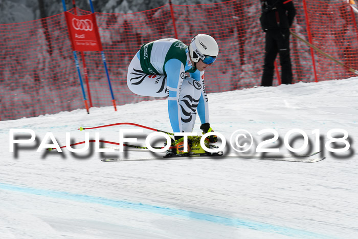 FIS, Int. Dt. Meisterschaft Abfahrt, Training, NC, NJC Damen + Herren, 22.03.2018