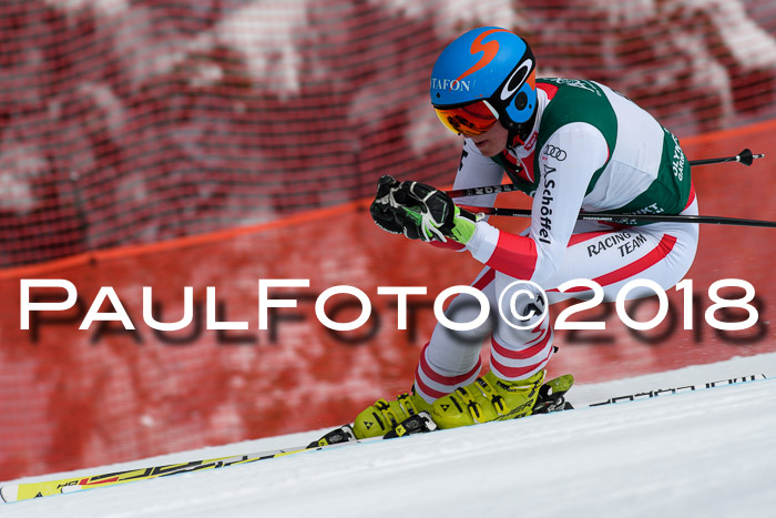 FIS, Int. Dt. Meisterschaft Abfahrt, Training, NC, NJC Damen + Herren, 22.03.2018
