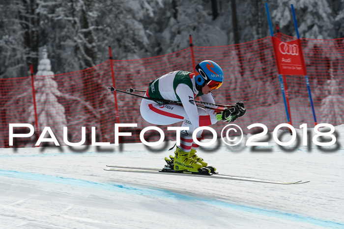 FIS, Int. Dt. Meisterschaft Abfahrt, Training, NC, NJC Damen + Herren, 22.03.2018