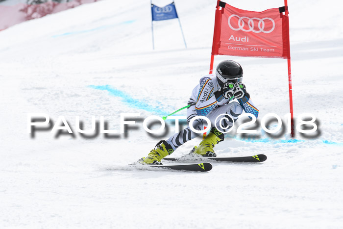 FIS, Int. Dt. Meisterschaft Super-G, NC,  Damen + Herren, 23.03.2018