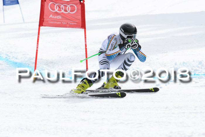 FIS, Int. Dt. Meisterschaft Super-G, NC,  Damen + Herren, 23.03.2018