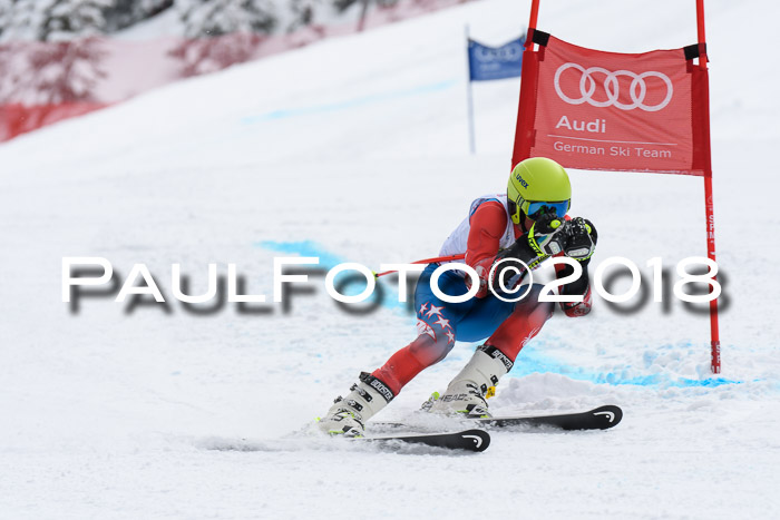 FIS, Int. Dt. Meisterschaft Super-G, NC,  Damen + Herren, 23.03.2018