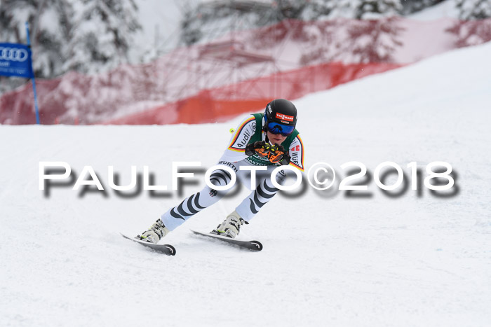 FIS, Int. Dt. Meisterschaft Super-G, NC,  Damen + Herren, 23.03.2018