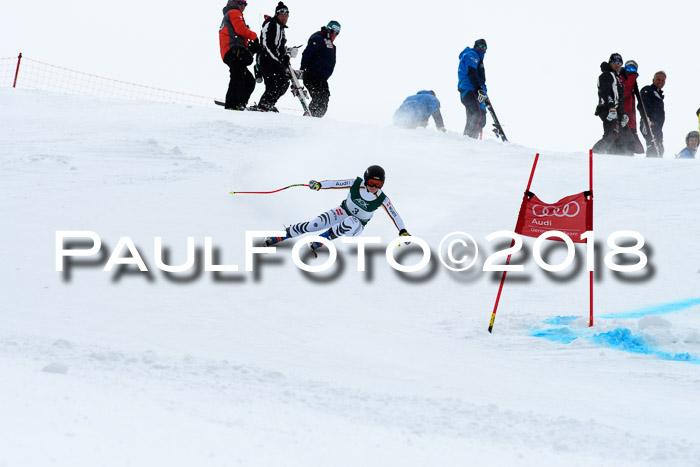 FIS, Int. Dt. Meisterschaft Super-G, NC,  Damen + Herren, 23.03.2018