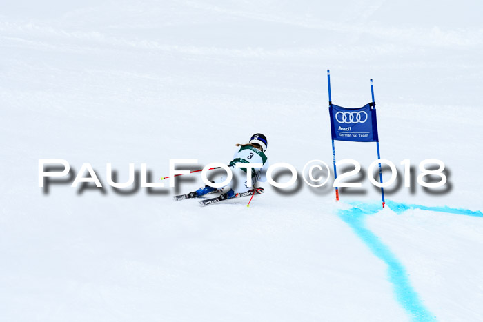 FIS, Int. Dt. Meisterschaft Super-G, NC,  Damen + Herren, 23.03.2018
