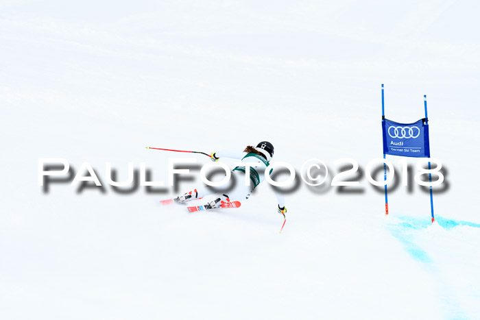 FIS, Int. Dt. Meisterschaft Super-G, NC,  Damen + Herren, 23.03.2018