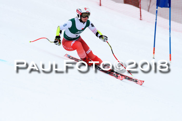 FIS, Int. Dt. Meisterschaft Super-G, NC,  Damen + Herren, 23.03.2018