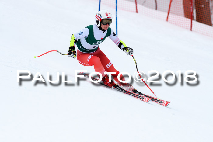 FIS, Int. Dt. Meisterschaft Super-G, NC,  Damen + Herren, 23.03.2018