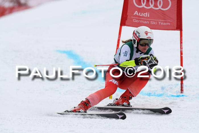 FIS, Int. Dt. Meisterschaft Super-G, NC,  Damen + Herren, 23.03.2018