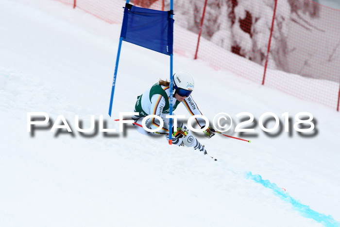 FIS, Int. Dt. Meisterschaft Super-G, NC,  Damen + Herren, 23.03.2018