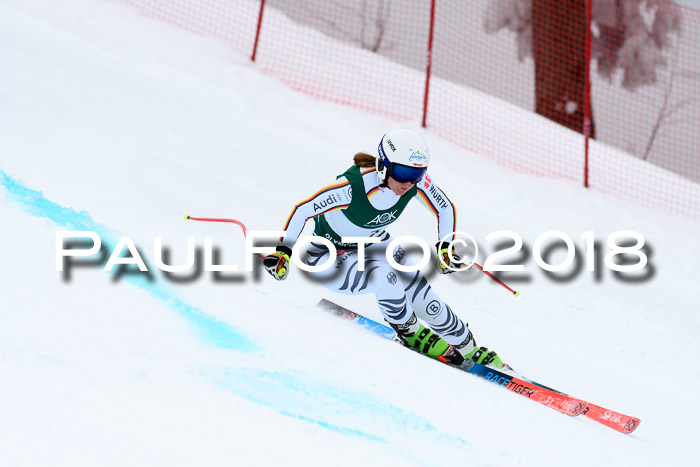 FIS, Int. Dt. Meisterschaft Super-G, NC,  Damen + Herren, 23.03.2018