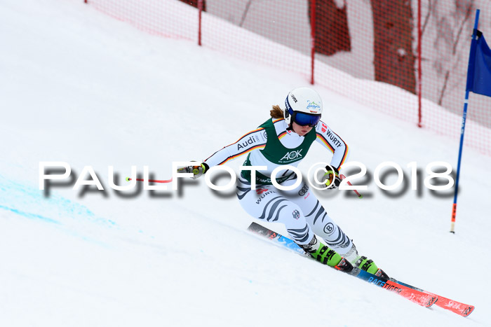 FIS, Int. Dt. Meisterschaft Super-G, NC,  Damen + Herren, 23.03.2018