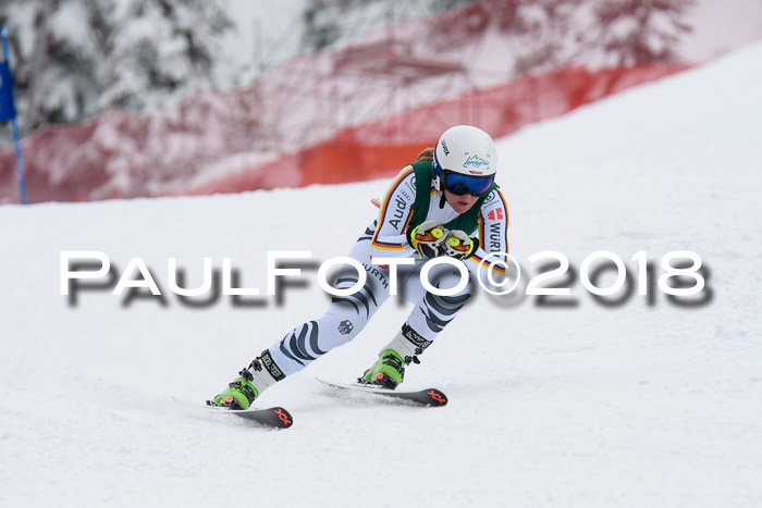 FIS, Int. Dt. Meisterschaft Super-G, NC,  Damen + Herren, 23.03.2018