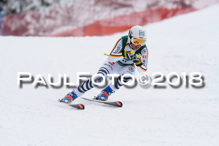 FIS, Int. Dt. Meisterschaft Super-G, NC,  Damen + Herren, 23.03.2018